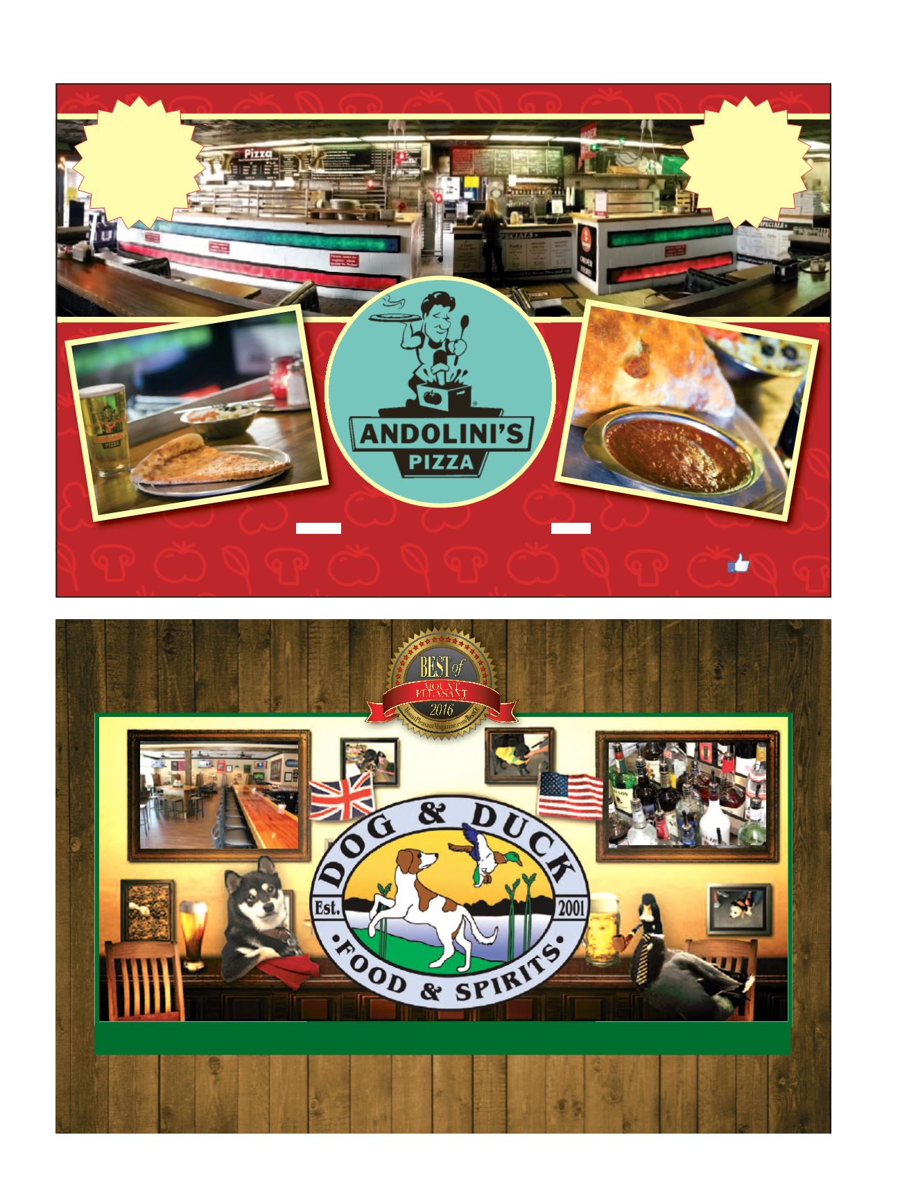 Page Background
