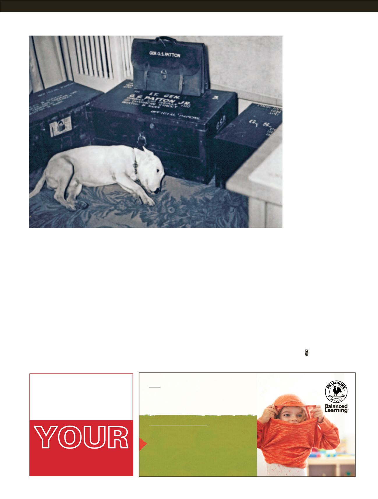 Page Background